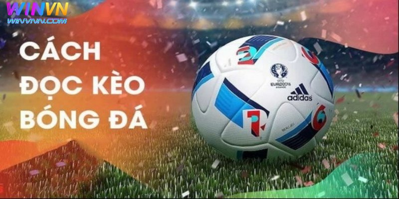 Hướng dẫn đọc tỷ lệ đặt cược trong bóng đá